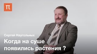 Первые наземные продуценты — Сергей Наугольных