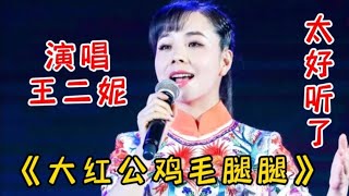 王二妮深情演唱民歌《大红公鸡毛腿腿》旋律优美 一开口惊艳全场