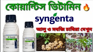 কোয়ান্টিস পি জি আর। Syengenta Quantis Pgr আলু চাষের ভিটামিন। ফুল ও ফল আসবে বেশি।অ্যামাইনো অ্যাসিড ।