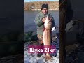 Самая крупная ЩУКА рекомендации fishing рыбалка