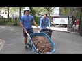 bloodhounds in the community athletics department participates in dewitt clinton field cleanup 2022