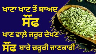 Health benefits of fennel seeds | ਸੌਂਫ ਖਾਣ ਨਾਲ ਕੀ ਕੀ ਫਾਇਦੇ ਹੁੰਦੇ ਨੇ | somf khan de fayde