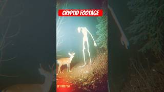 Cryptid Sighting Unexplained Creature Caught On Trail Cam