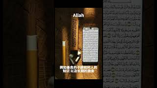 古兰经注释（雅幸 章）#allah #kuran #古兰经 #islam #穆罕默德 #伊斯兰