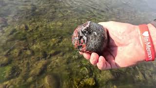 Rockhounding Washington State Baker Blue Agates