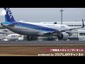 【鹿児島空港】ベイパー見れるかも！？薄っすら霧の朝 rwy34離着陸シーン ～kagoshima airport rwy34 takeoff u0026 landing～ 2023 1 15