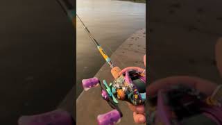 ProFISHiency KRAZY 3 Baitcast Combo