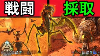 万能生物⁉️最強カマキリを超簡単にテイムしてみた！【ASA:Scorched Earth】 #12