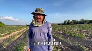 ประกวดเกษตรกรดีเด่น สาขาอาชีพทำไร่ ระดับเขต ปี 2566 สำนักงานเกษตรอำเภอหนองพอก จังหวัดร้อยเอ็ด