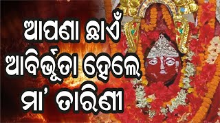 ମା' ତାରିଣୀ କପିଳ ମଠ Maa Tarini Pitha | Kapila Matha | Koradakanta Bhubaneswar @AamaGreatOdisha