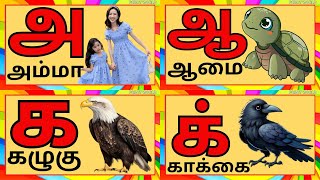 Uyir eluthukal/ mei eluthukkal /uyirmai eluthukkal/tamil alphabets