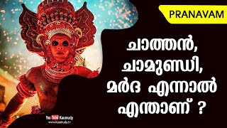 ചാത്തൻ, ചാമുണ്ഡി, മർദ എന്നാൽ എന്താണ് ? | Subhash Tantri | Pranavam