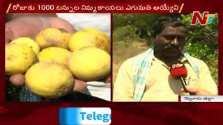 నిమ్మ రైతులకు కరోనా కష్టాలు | Corona Effect on Lemon Farmers in Nellore | NTV