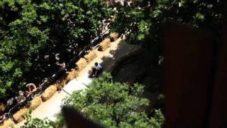 Red Bull Lagernica 2011 - Action Clip