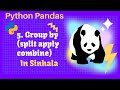 Python Pandas Tutorial 5. Group By | Split Apply Combine  in sinhala