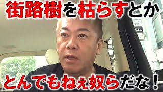 【堀江貴文】今後どうなるビッグモーターの不正請求問題。街路樹を枯らしてた⁉さらにとんでもない事実が発覚！【ホリエモン 切り抜き】