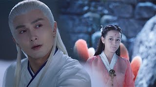 🐯【痴心错付】男子与心爱之人相逢，可女子竟不认识他【三生三世枕上书Eternal Love of Dream】