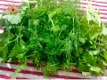 How to Store Fresh Herbs in your refrigerator