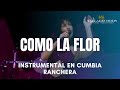 Como La Flor - Demo Pista Instrumental Karaoke - Versión Cumbia Ranchera