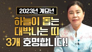 💥2023년 계묘년 대박나는띠💥 내년에 하늘이 돕는 가장 좋은 띠 호명합니다! 쥐띠 소띠 범띠 토끼띠 용띠 뱀띠 말띠 양띠 원숭이띠 닭띠 개띠 돼지띠 운세중 무슨띠? [해명사]