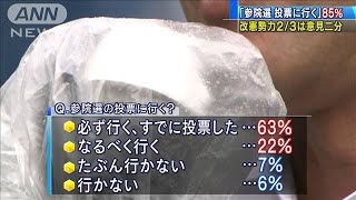 改憲勢力2/3は意見二分　参院選前にANN世論調査(19/07/15)