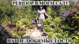 Ревизор в моем саду или любимые гости! =)