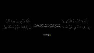 سورة النمل 80-81 القارئ احمد آل طالب