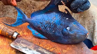 Super Blue Kilathi meen (கிளாத்தி மீன்) Fish Cutting Skills | THERESPURAM MEENAVAN