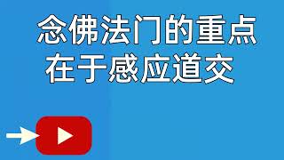 念佛法门的重点在于感应道交