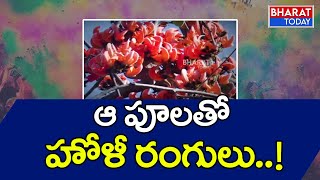 Special Story on Moduga Flowers | శివునికి ఇష్టమైన పూలతో హోలీ |Holi Colors Natural Flowers|Adilabad