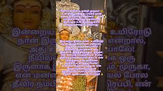 முருகன்வாக்கு🙏#lordmuruga#tamil#hindudeity#tamilkadavul#bakttv #murugangod#கந்தர்#ஆறுபடை #god #song