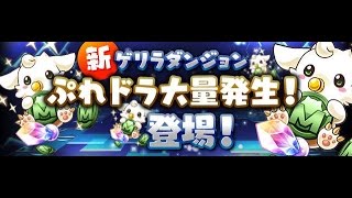 ぷれドラ大量発生！　超級高速周回【パズドラ】