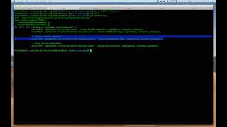 Speed run for Generic Package Registry