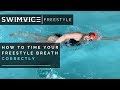 How to Time Your Freestyle Breath Correctly ! | SWIMVICE