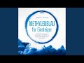 Kapitel 120 - Methylenblau für Einsteiger: Das Praxisbuch zur sicheren Anwendung von...