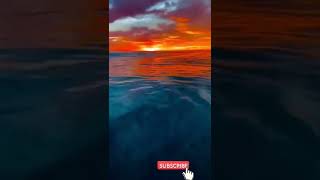 Sunset Video Ultra 4K UHD 1080p