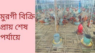 মুরগী পালন পদ্ধতি (সোনালী হাইব্রিড)-৬৫ তম দিন। Poultry farming techniques (65 day).