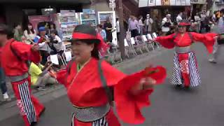 福豆①＠2019　高幡不動参道七夕まつり