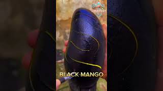 BLACK MANGO 🖤 IN THE WORLD | A UNIQUE MANGO