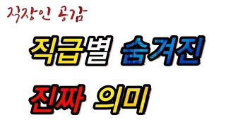 #3 각 직급별 숨겨진 의미