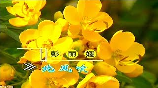 彭丽媛 -  北风吹