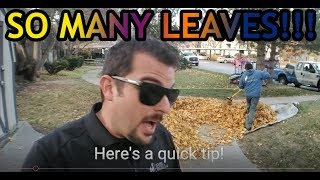 How to rake leaves faster