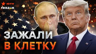 Трамп ОШАРАШИЛ ЗАЯВЛЕНИЕМ ‼️ США готовят СДЕЛКУ? Конец ВОЙНЫ БЛИЗОК | @dwrussian