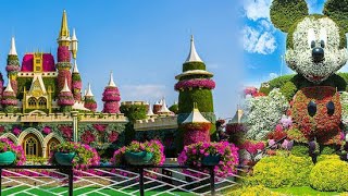 Dubai Miracle Garden Walk | The World Largest Natural Flower Garden | Miracle Garden Visit & Tour |