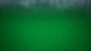 Green screen effects for HEAVY RAIN THUNDERSTORM chroma key | Adobe after effects, Sony vegas, vfx