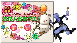 【ドラクエ10 オンライン】FF14コラボイベント「お花大好きクポ」 効率周回