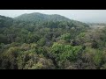 phayeng community forest drone view