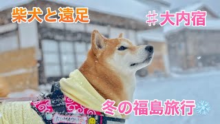 【柴犬と遠足】エンゼルフォレスト白河高原へ今年も雪遊びに行きました！