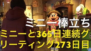 ミニーと365日連続グリーティング273日目〜ミニー棒立ち〜 my Disney tour day 273 I meet minnie mouse