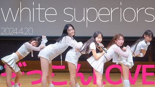 white superiors - ぞっこんLOVE / 東京アイドル劇場（アイゲキ）